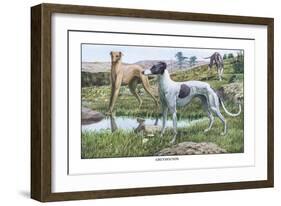 Greyhounds-Louis Agassiz Fuertes-Framed Art Print