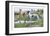 Greyhounds-Louis Agassiz Fuertes-Framed Art Print