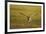 Greylag Goose (Anser Anser) in Flight, Caerlaverock Wwt, Scotland, Solway, UK, January-Danny Green-Framed Photographic Print