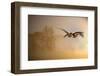 Greylag Goose, Fly-Reiner Bernhardt-Framed Photographic Print