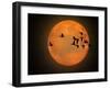 Greylag Goose, Silhouette, Full Moon-Reiner Bernhardt-Framed Photographic Print