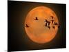 Greylag Goose, Silhouette, Full Moon-Reiner Bernhardt-Mounted Photographic Print