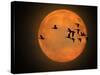 Greylag Goose, Silhouette, Full Moon-Reiner Bernhardt-Stretched Canvas