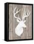 Greystone Lodge I-Paul Brent-Framed Stretched Canvas