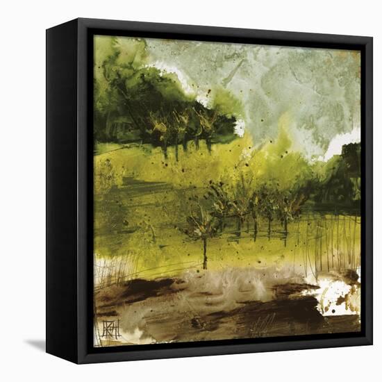 Griffith Park I-Kelsey Hochstatter-Framed Stretched Canvas