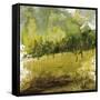 Griffith Park II-Kelsey Hochstatter-Framed Stretched Canvas