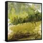 Griffith Park II-Kelsey Hochstatter-Framed Stretched Canvas