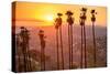 Griffith Park, Los Angeles, California, Usa.-SeanPavonePhoto-Stretched Canvas