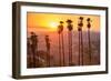 Griffith Park, Los Angeles, California, Usa.-SeanPavonePhoto-Framed Photographic Print