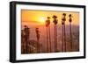 Griffith Park, Los Angeles, California, Usa.-SeanPavonePhoto-Framed Photographic Print