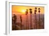 Griffith Park, Los Angeles, California, Usa.-SeanPavonePhoto-Framed Photographic Print