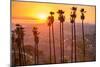 Griffith Park, Los Angeles, California, Usa.-SeanPavonePhoto-Mounted Photographic Print