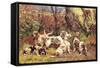 Griffon Vendeen Bassets-Baron Karl Reille-Framed Stretched Canvas