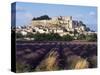 Grignan Chateau and Leavender Field, Grignan, Drome, Rhone Alpes, France-Charles Bowman-Stretched Canvas