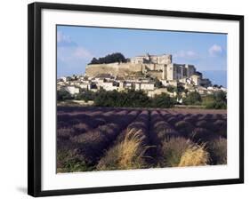 Grignan Chateau and Leavender Field, Grignan, Drome, Rhone Alpes, France-Charles Bowman-Framed Photographic Print