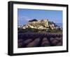 Grignan Lavender-Charles Bowman-Framed Photographic Print