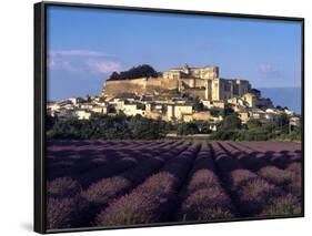 Grignan Lavender-Charles Bowman-Framed Photographic Print