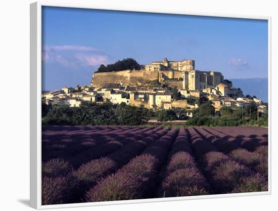 Grignan Lavender-Charles Bowman-Framed Photographic Print