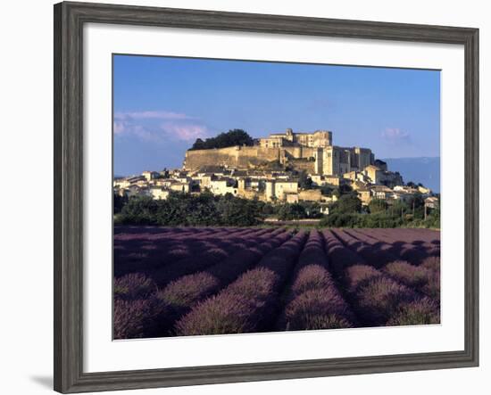 Grignan Lavender-Charles Bowman-Framed Photographic Print