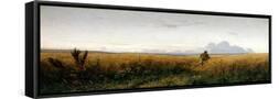 Framed Canvas