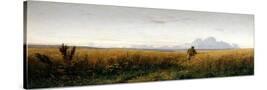 Stretched Canvas
