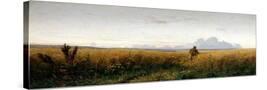 Stretched Canvas