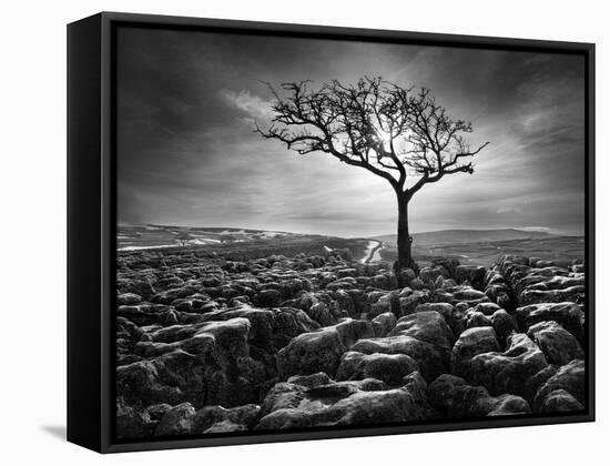 Grikes and Clints-Martin Henson-Framed Stretched Canvas