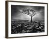 Grikes and Clints-Martin Henson-Framed Photographic Print