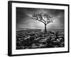 Grikes and Clints-Martin Henson-Framed Photographic Print