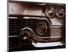 Grille-John Maggiotto-Mounted Art Print