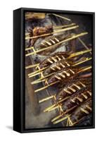 Grilled Fish, Luang Prabang, Laos, Indochina, Southeast Asia, Asia-Yadid Levy-Framed Stretched Canvas