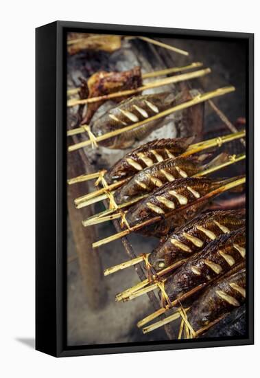 Grilled Fish, Luang Prabang, Laos, Indochina, Southeast Asia, Asia-Yadid Levy-Framed Stretched Canvas