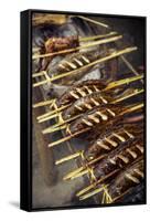 Grilled Fish, Luang Prabang, Laos, Indochina, Southeast Asia, Asia-Yadid Levy-Framed Stretched Canvas