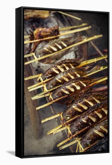 Grilled Fish, Luang Prabang, Laos, Indochina, Southeast Asia, Asia-Yadid Levy-Framed Stretched Canvas