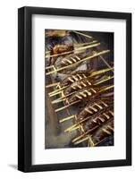 Grilled Fish, Luang Prabang, Laos, Indochina, Southeast Asia, Asia-Yadid Levy-Framed Photographic Print