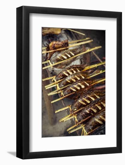 Grilled Fish, Luang Prabang, Laos, Indochina, Southeast Asia, Asia-Yadid Levy-Framed Photographic Print