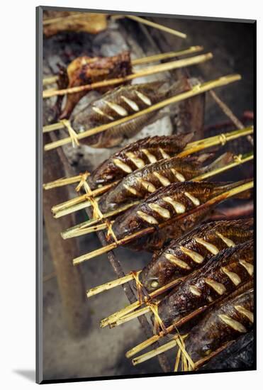 Grilled Fish, Luang Prabang, Laos, Indochina, Southeast Asia, Asia-Yadid Levy-Mounted Photographic Print