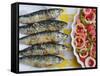 Grilled Sardines, a Delicacy. Setubal, Portugal-Mauricio Abreu-Framed Stretched Canvas