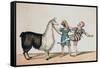 Grimaldi and the Alpaca, in the Popular Pantomime of the Red Dwarf, Published 1813 in London-John Norman-Framed Stretched Canvas