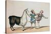 Grimaldi and the Alpaca, in the Popular Pantomime of the Red Dwarf, Published 1813 in London-John Norman-Stretched Canvas