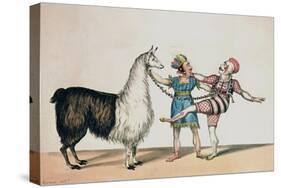 Grimaldi and the Alpaca, in the Popular Pantomime of the Red Dwarf, Published 1813 in London-John Norman-Stretched Canvas