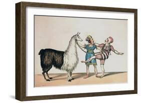 Grimaldi and the Alpaca, in the Popular Pantomime of the Red Dwarf, Published 1813 in London-John Norman-Framed Giclee Print