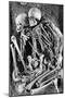 Grimaldi Skeletons-Science Source-Mounted Premium Giclee Print