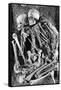 Grimaldi Skeletons-Science Source-Framed Stretched Canvas