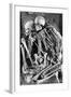 Grimaldi Skeletons-Science Source-Framed Giclee Print