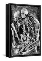 Grimaldi Skeletons-Science Source-Framed Stretched Canvas