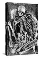 Grimaldi Skeletons-Science Source-Stretched Canvas