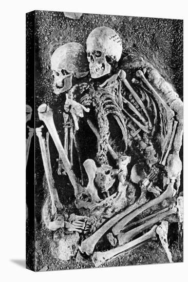 Grimaldi Skeletons-Science Source-Stretched Canvas