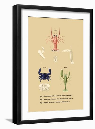 Grimotee Sociale-null-Framed Art Print