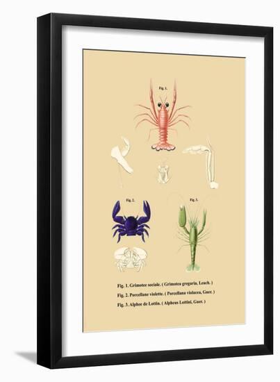 Grimotee Sociale-null-Framed Art Print